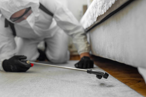 Professional Ant Control technician working in Indian Lake, MO